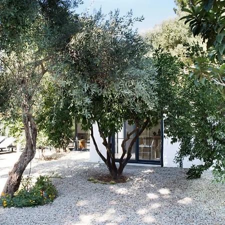 Villa Important Group Bd461 5 Bedroomed
